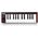 Akai Professional LPK25 mk2 USB MIDI kontroller billentyűzet