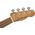 Fender Zuma Exotic Spalted Maple koncert ukulele