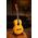 Ortega R170F flamenco gitár