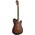 Ibanez FRH10N-BSF Brown Sunburst Flat elektro-klasszikus gitár