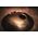 Meinl HPSTL100 handpan