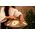 Meinl HPSTL90 handpan