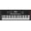 Roland E-X10 kíséretautomatikás szintetizátor