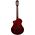 Ortega RTPSTD-NAT TourPlayer Standard elektro-klasszikus gitár