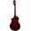 Ortega RTPSTD-NAT TourPlayer Standard elektro-klasszikus gitár
