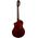 Ortega RTPSTD-NAT TourPlayer Standard elektro-klasszikus gitár