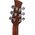 Applause AAD96-4 Wood Classics Natural Gloss akusztikus gitár