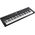 Roland GO:KEYS 5 Graphite szintetizátor