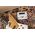 IK Multimedia TONEX Pedal Anniversary Limited Edition gitár padló multieffekt
