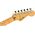 Fender Standard Stratocaster MN Candy Cola elektromos gitár