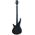 Ibanez SRD905-CTL Bass Workshop 5 húros elektromos basszusgitár