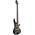 Ibanez SRD905-CTL Bass Workshop 5 húros elektromos basszusgitár