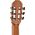 Caballero Principio Flamenco CA-PM-F 4/4 klasszikus gitár