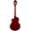 Ortega RTPS-U-NAT TourPlayer tenor ukulele