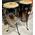 Használt Meinl MCC1134CB + MCC1212CB konga