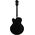 Ibanez PM3C-BKL Pat Metheny Signature elektromos gitár