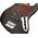 Sadowsky MetroExpress 21-Fret Hybrid P/J Bass Solid Black High Polish elektromos basszusgitár
