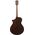 Ibanez AEWC16QA-TLH elektro-akusztikus gitár