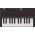 Akai Professional MPK Mini IV Black USB MIDI kontroller billentyűzet/pad kontroller