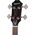 Epiphone Jack Casady Fretless Bass Aged Royal Tan elektromos basszusgitár