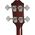 Epiphone Jack Casady Fretless Bass Aged Royal Tan elektromos basszusgitár