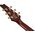 Ibanez IC420-CGM Iceman Standard elektromos gitár