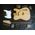 Tajti Music Telecaster Kit csináld magad elektromos gitár készlet