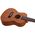 Flight NUC310 koncert ukulele
