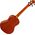 Ortega RU5-TE tenor ukulele