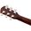Fender CD-60S Dreadnought Mahogany Natural akusztikus gitár