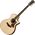 Taylor 812CE elektro-akusztikus gitár