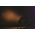 Sagitter SDJ SlimPAR 12 DL LED PAR reflektor