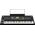 KORG EK-50 kíséretautomatikás szintetizátor