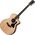 Taylor 114ce elektro-akusztikus gitár