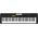 CASIO CT-S100 Casiotone kíséretautomatikás szintetizátor