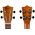 Flight NUC200 Teak koncert ukulele