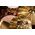 Meinl HCS 12" Trash Stack effekt cintányér HCS12TRS