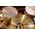Meinl HCS 20" Crash-ride beütő cintányér HCS20CR