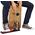 Meinl TMSTCP-2 cajon lábgép