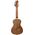 Ortega RUWN koncert ukulele