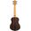 Ortega RUEB-TE tenor ukulele