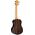 Ortega RUEB-TE tenor ukulele