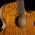 Cort SFX-Myrtlewood-NAT elektro-akusztikus gitár