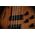 Cort B4FL MHPZ OPTA​ fretless elektromos basszusgitár