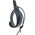 Planet Waves 75M00 mandolinheveder
