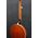 Ibanez B200 banjo
