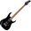 Ibanez RGIB21-BK Iron Label bariton elektromos gitár