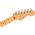 Fender American Professional II Stratocaster HSS MN Roasted Pine elektromos gitár