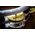 Meinl TMT1M-WH tamburin