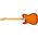 Fender American Professional II Telecaster MN Sienna Sunburst elektromos gitár